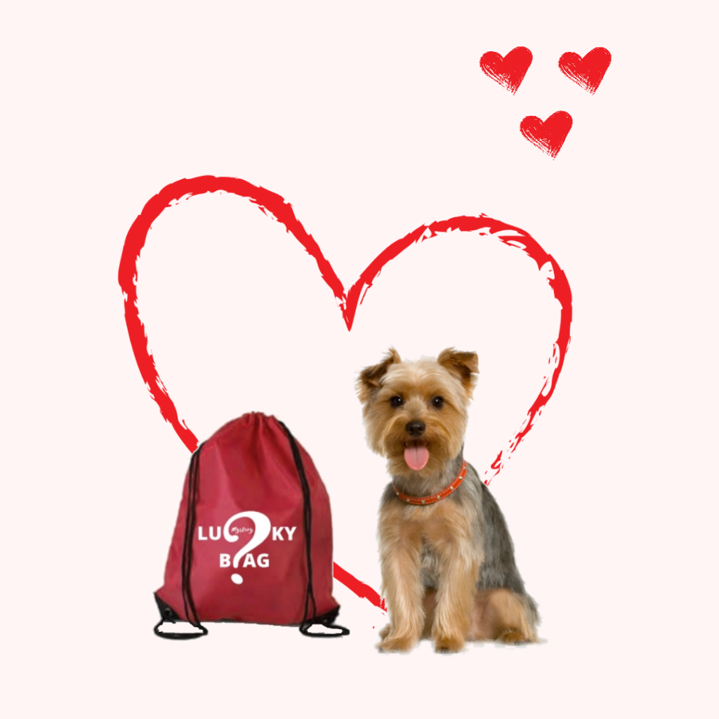 lucky mystery bag dog darcek pre psy small dog bag