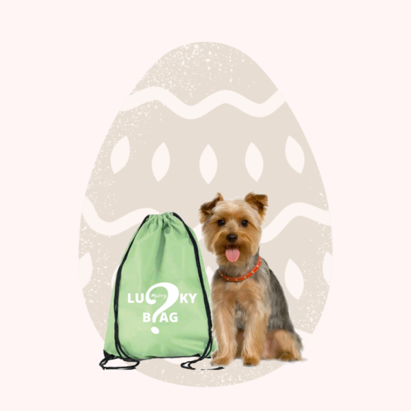 lucky bag s