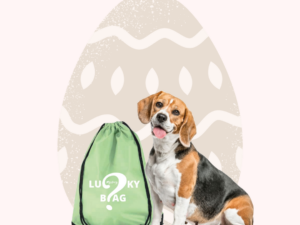 lucky bag M