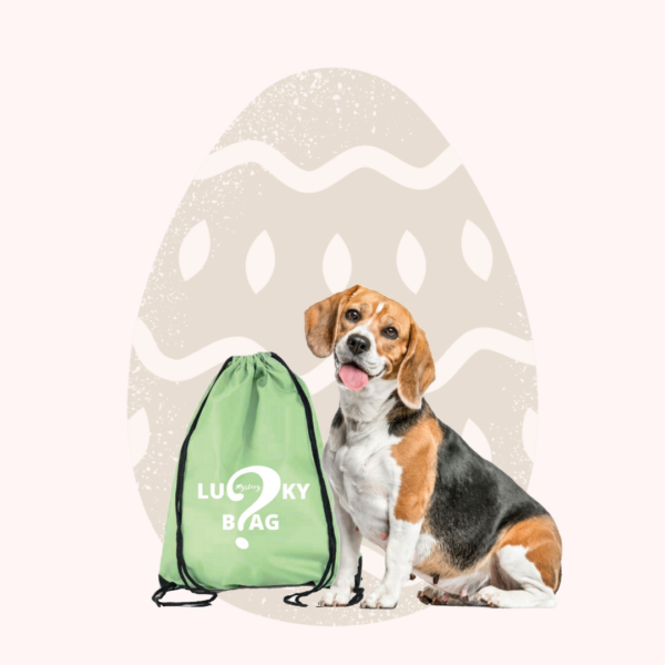 lucky bag M
